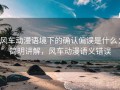 风车动漫语境下的确认偏误是什么：简明讲解，风车动漫语义错误