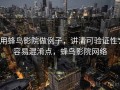 用蜂鸟影院做例子，讲清可验证性：容易混淆点，蜂鸟影院网络