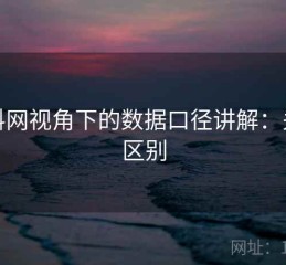 黑料网视角下的数据口径讲解：关键区别