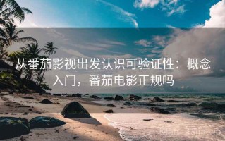 从番茄影视出发认识可验证性：概念入门，番茄电影正规吗