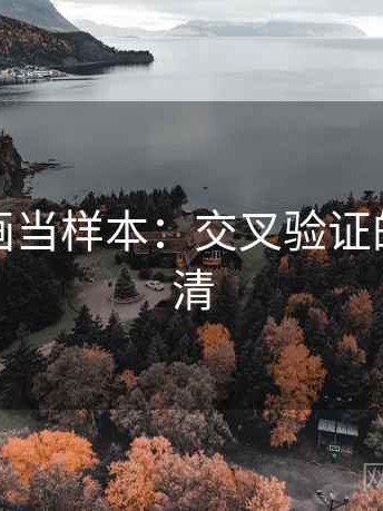 把YY漫画当样本：交叉验证的误解澄清