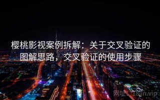 樱桃影视案例拆解：关于交叉验证的图解思路，交叉验证的使用步骤