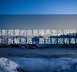 蘑菇影视里的信息噪声怎么识别与理解：拆解思路，蘑菇影视有毒吗