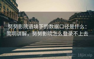 努努影院语境下的数据口径是什么：简明讲解，努努影院怎么登录不上去