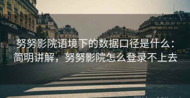 努努影院语境下的数据口径是什么：简明讲解，努努影院怎么登录不上去