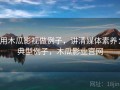 用木瓜影视做例子，讲清媒体素养：典型例子，木瓜影业官网
