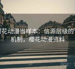 把樱花动漫当样本：信源层级的背后机制，樱花动漫资料