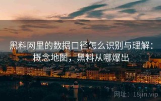 黑料网里的数据口径怎么识别与理解：概念地图，黑料从哪爆出