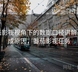 番茄影视视角下的数据口径讲解：形成原因，番茄影视任务