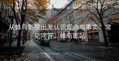 从蜂鸟影院出发认识观点与事实：常见问答，蜂鸟影站