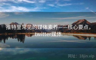 推特里常见的媒体素养——核心要点，twitter媒体