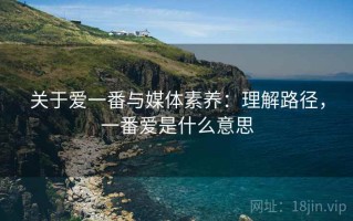 关于爱一番与媒体素养：理解路径，一番爱是什么意思