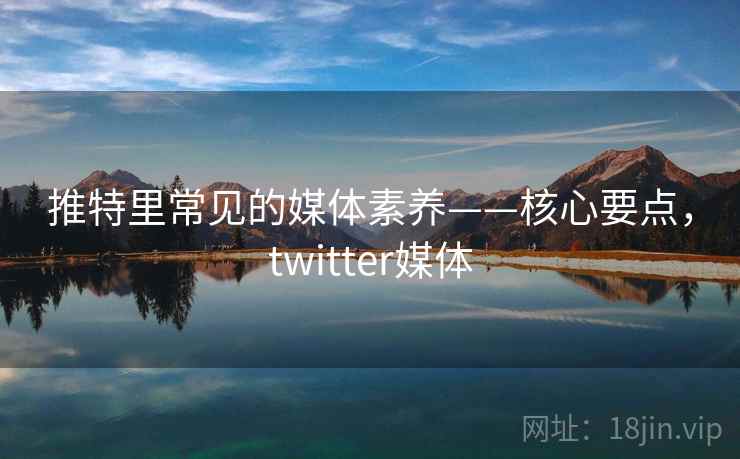 推特里常见的媒体素养——核心要点，twitter媒体