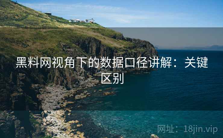 黑料网视角下的数据口径讲解：关键区别
